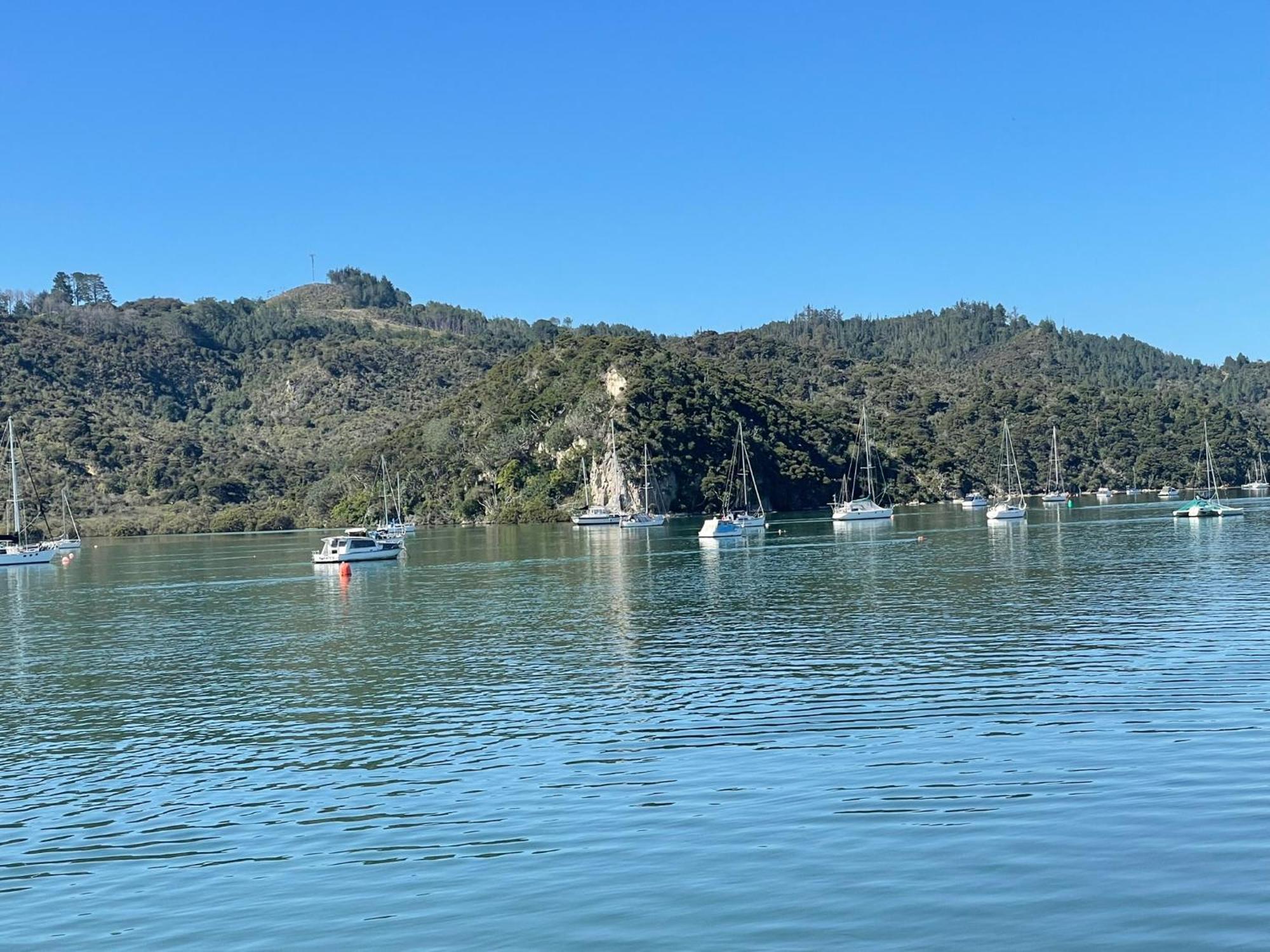 Make Memories At Cook Drive Villa Whitianga Eksteriør billede