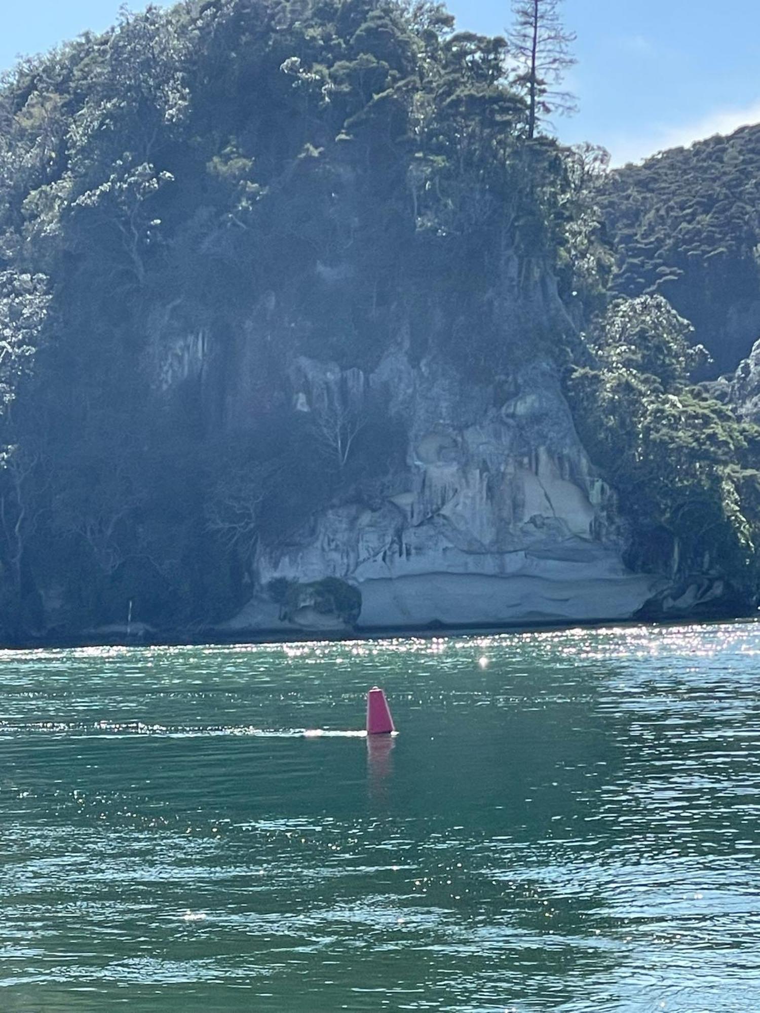 Make Memories At Cook Drive Villa Whitianga Eksteriør billede